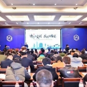 中传新文创(IP)平台武汉推介会首站告捷