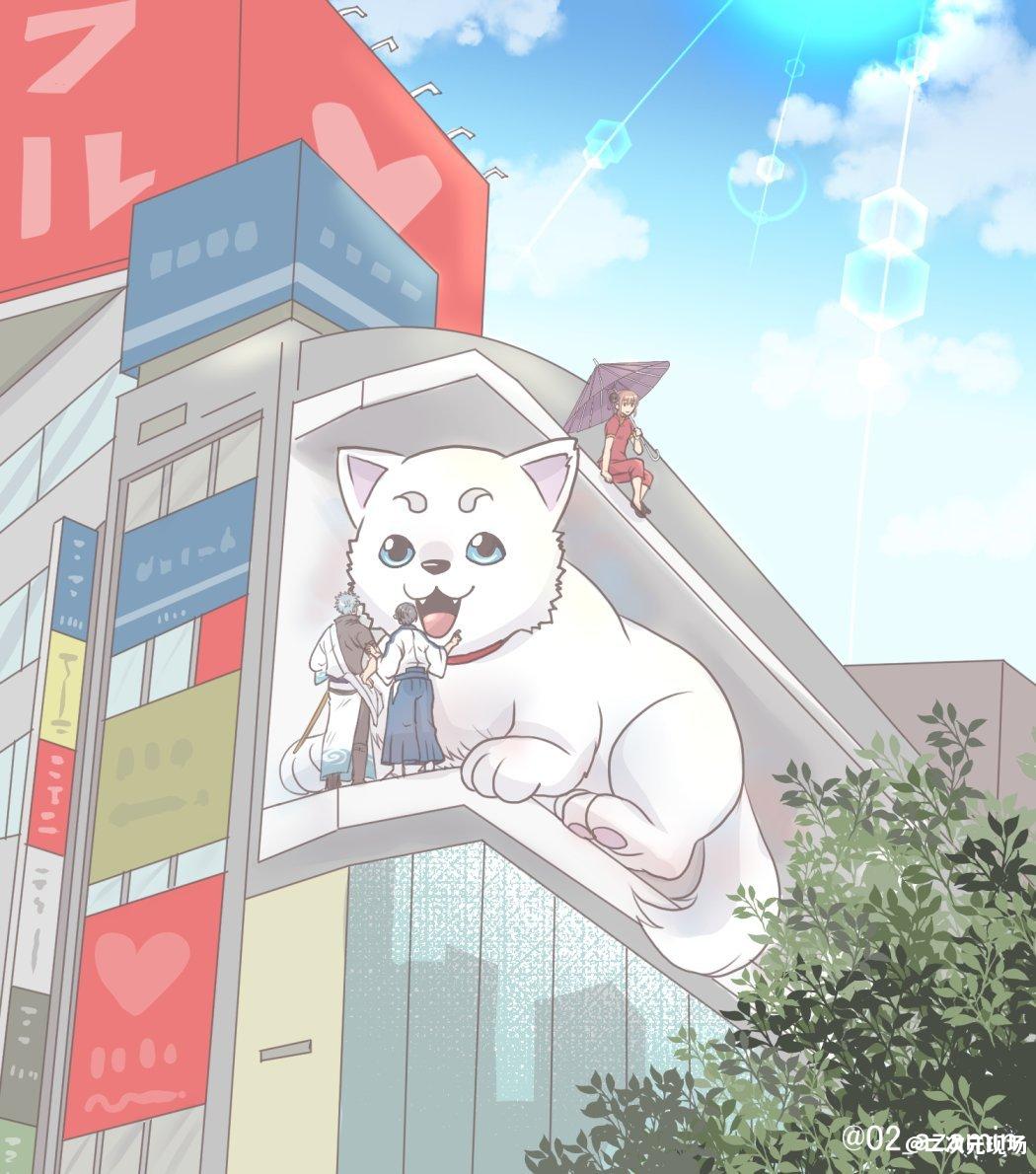 东京新宿站前3D猫引发二创狂潮 真猫还原现场