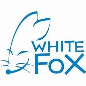 WHITE FOX为招聘性别歧视道歉 《钢之炼金术师》真人电影完结篇声优特别预告