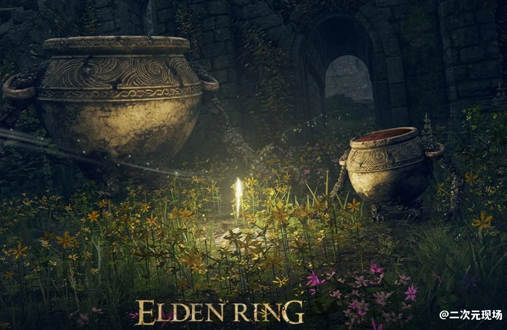 《艾尔登法环》1.10版本更新发布 着重提高了游戏的稳定性和平衡性